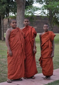 Drei junge Mönche am heiligen Baum